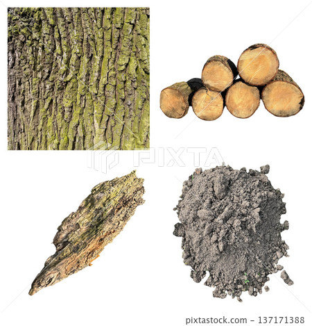 Natural elements collage with tree bark, logs, and soil Natural elements collage with tree bark, logs, and soil 137171388
