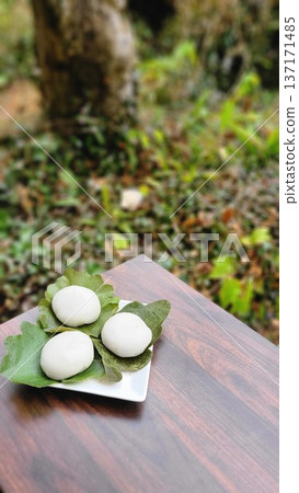 Three kashiwamochi (oak leaf mochi) on a plate, a traditional Japanese sweet for the Boys' Festival Three kashiwamochi (oak leaf mochi) on a plate, a traditional Japanese sweet for the Boys' Festival 137171485