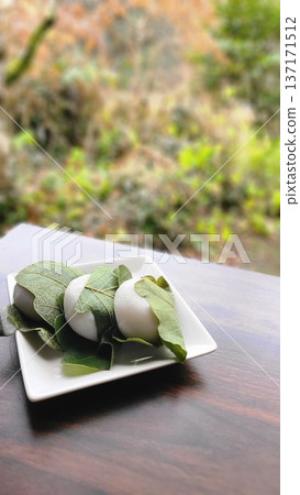 Children's Day, three kashiwamochi (oak leaf rice cakes) on a plate against a background of fresh greenery, copy space Children's Day, three kashiwamochi (oak leaf rice cakes) on a plate against a background of fresh greenery, copy space 137171512