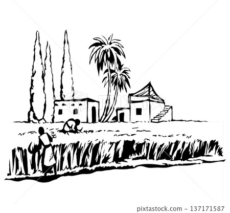 Vector drawing. Reapers in the field Vector drawing. Reapers in the field 137171587
