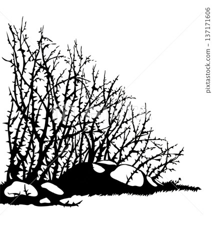 Vector drawing. The thorn bushes Vector drawing. The thorn bushes 137171606