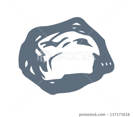 Vector drawing. Small Asteroid in the sky Vector drawing. Small Asteroid in the sky 137171616