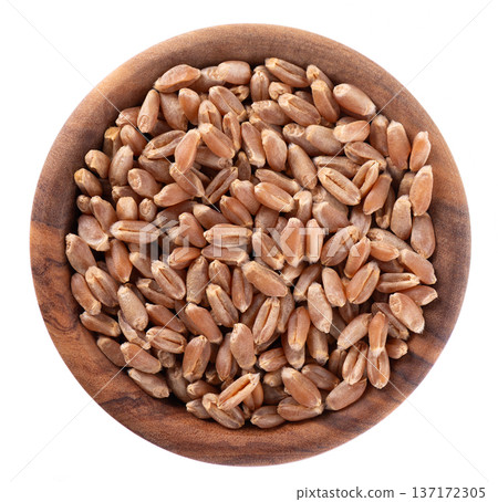 Organic peeled spelt grains isolated on white background. Triticum spelta or dark wheat. Clipping path. Top view. Organic peeled spelt grains isolated on white background. Triticum spelta or dark wheat. Clipping path. Top view. 137172305