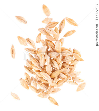 Malted barley grains isolated on white background. Barley seeds close up. Clipping path. Top view. Malted barley grains isolated on white background. Barley seeds close up. Clipping path. Top view. 137172307