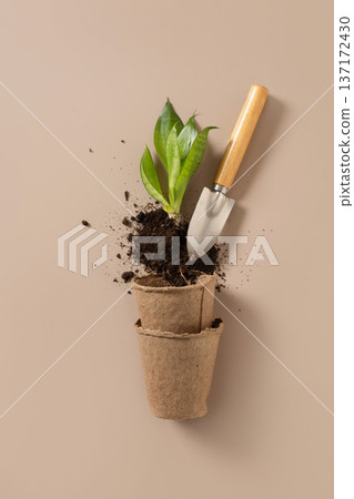 Plant seedling in pot with gardening shovel Plant seedling in pot with gardening shovel 137172430