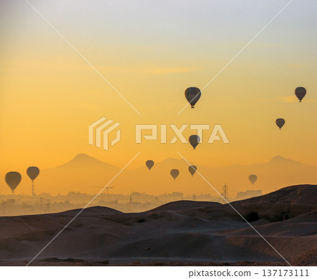 Balloons with tourists in the morning sky over the city of Luxor in Egypt. 137173111