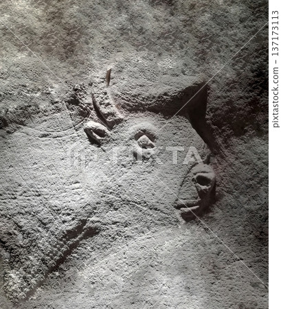 Profile of the European bison, carved by ancient people in the limestone walls of cave. Profile of the European bison, carved by ancient people in the limestone walls of cave. 137173113