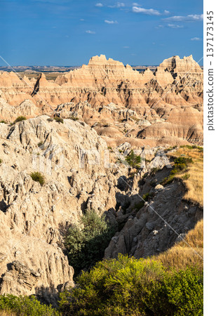 Scenic sunny view of a deep canyon with rugged eroded rock formations and green sparse vegetation in Badlands National Park, South Dakota. Scenic sunny view of a deep canyon with rugged eroded rock formations and green sparse vegetation in Badlands National Park, South Dakota. 137173145