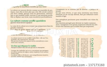 Torn French Newspaper Pieces Isolated on White Background Torn French Newspaper Pieces Isolated on White Background 137173160