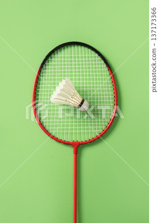 Red badminton racket with shuttlecock on green background championship concept Red badminton racket with shuttlecock on green background championship concept 137173366