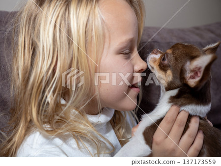 Close up profile of child and small brown chihuahua puppy looking at each other with affection Close up profile of child and small brown chihuahua puppy looking at each other with affection 137173559