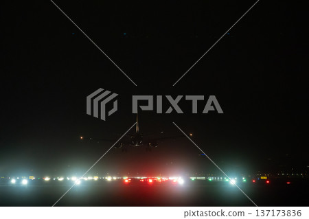 Rear view of aircraft during landing approach with bright green and red navigation lights on airfield 137173836