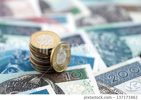 Coins and banknotes of Polish zloty and grosz currency. Poland PLN money close up. Business, economy and finance concept 137173862