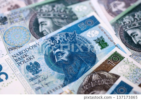 Big amount of polish zloty money banknotes close up. Huge pile of cash of Poland currency. Concept of business, economy and investment in Poland Big amount of polish zloty money banknotes close up. Huge pile of cash of Poland currency. Concept of business, economy and investment in Poland 137173865