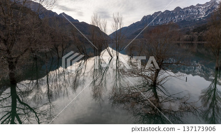 Close up view of bare tree branches emerging from still water against mountain background Close up view of bare tree branches emerging from still water against mountain background 137173906