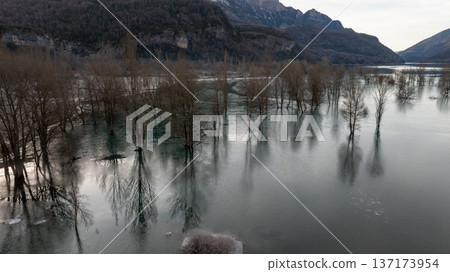 Symmetrical reflections of winter trees in a flooded valley near the spanish french border Symmetrical reflections of winter trees in a flooded valley near the spanish french border 137173954