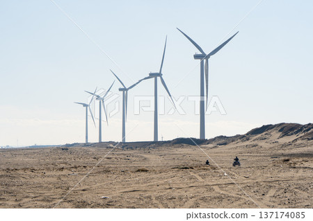 Windmills and buggies at Hikawahama Beach 137174085
