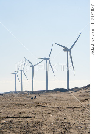 Windmills and buggies at Hikawahama Beach 137174087