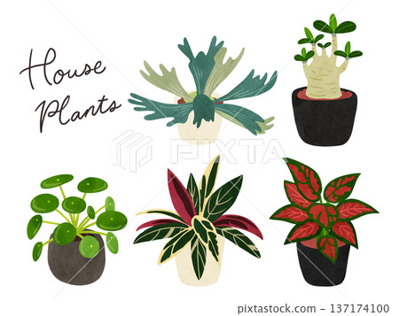 一組5株室內植物，水彩風格手繪插圖 137174100