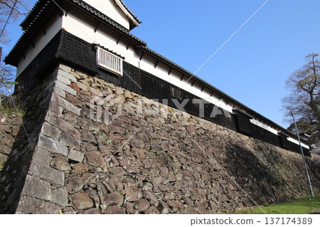福岡城石牆與福岡市盛開的櫻花交相輝映 福岡城石牆與福岡市盛開的櫻花交相輝映 137174389
