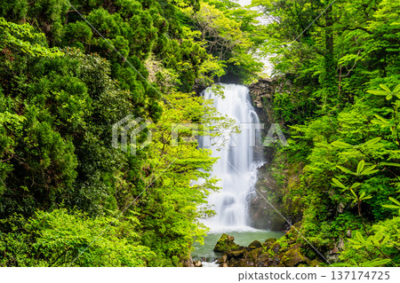 Naso Shirataki Falls, Akita Naso Shirataki Falls, Akita 137174725