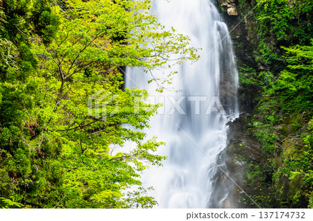 Naso Shirataki Falls, Akita 137174732