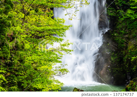 秋田縣那須白瀧瀑布 秋田縣那須白瀧瀑布 137174737