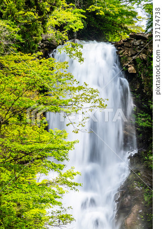 Naso Shirataki Falls, Akita 137174738