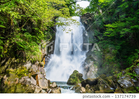 秋田縣那須白瀧瀑布 137174739