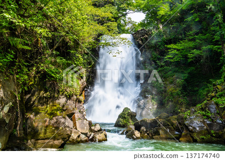 Naso Shirataki Falls, Akita Naso Shirataki Falls, Akita 137174740