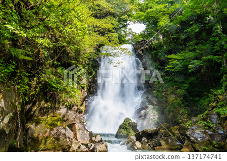 秋田縣那須白瀧瀑布 秋田縣那須白瀧瀑布 137174741