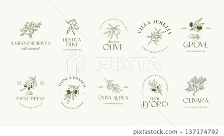 Vintage hand drawn olive old labels, badges and minimalist logos. 137174792