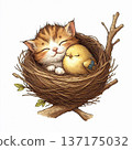 一隻小貓和一隻鳥在樹枝上的巢裡睡覺。 137175032