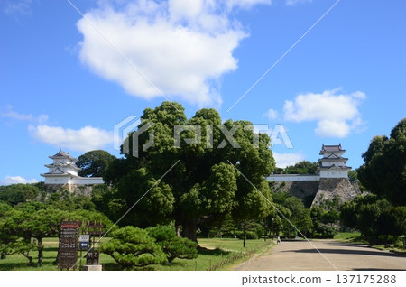 Akashi Castle Pass Akashi Castle Pass 137175288