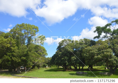 明石城堡通行證 明石城堡通行證 137175296