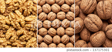 Image divided into three parts showing various images of walnuts 137175301