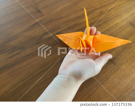 A child holding an orange origami crane in his hand A child holding an orange origami crane in his hand 137175336