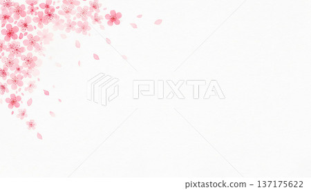 Japanese-style watercolor frame of cherry blossoms, falling petals and wide copy space, background material 137175622