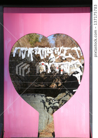 心形圖案,用於繫上神聖的婚姻彩券。 心形圖案,用於繫上神聖的婚姻彩券。 137175783