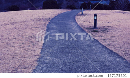 公園的長廊 公園的長廊 137175891