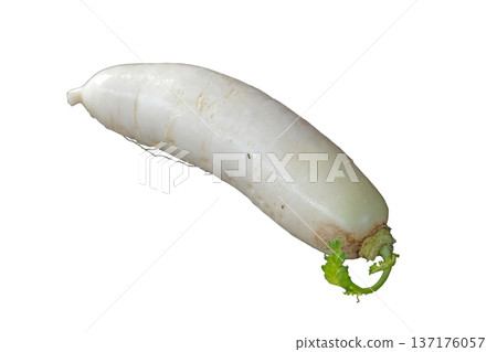 Daikon radishes 137176057
