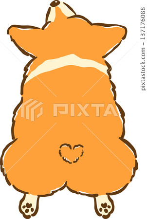 Cute Corgi sploot butt back cartoon hand drawn 137176088
