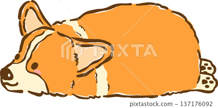 Cute Corgi dog sploot bread loaf shape cartoon hand drawn Cute Corgi dog sploot bread loaf shape cartoon hand drawn 137176092