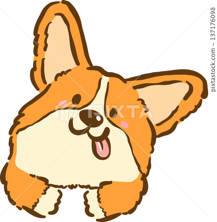 Cute Corgi dog silly face with legs cartoon hand drawn Cute Corgi dog silly face with legs cartoon hand drawn 137176098