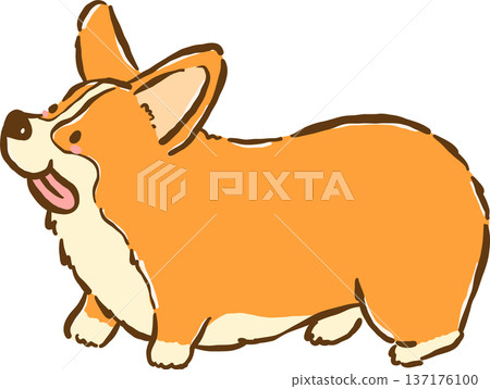 Cute Corgi dog standing cartoon hand drawn 137176100