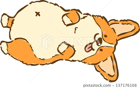 Cute silly Corgi dog belly up lying tongue out cartoon hand drawn Cute silly Corgi dog belly up lying tongue out cartoon hand drawn 137176108