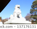 神社和寺廟中供奉的石獅子雕像 137176131