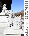 神社和寺廟中供奉的石獅子雕像 137176133