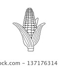 玉米的簡單線條單色插圖 137176314