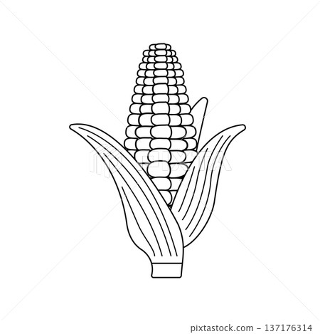玉米的簡單線條單色插圖 137176314
